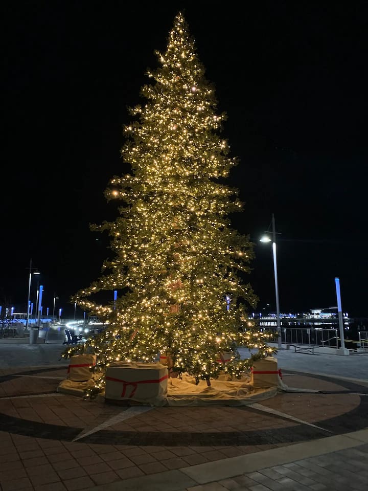 King Bed*Pool*Fireplace*BBQ*Smart TV