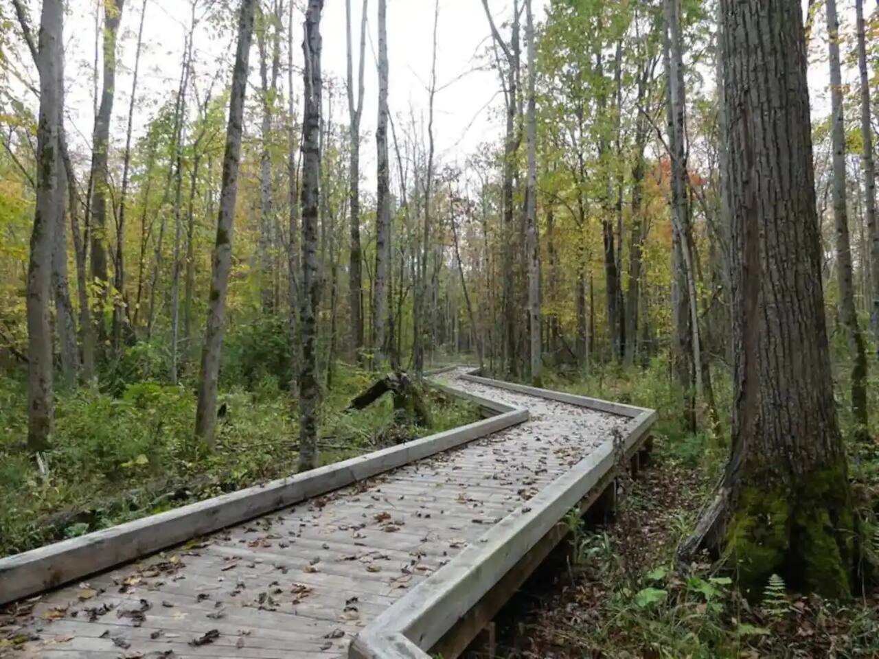 King Bed*Pool*Fireplace*BBQ*Smart TV