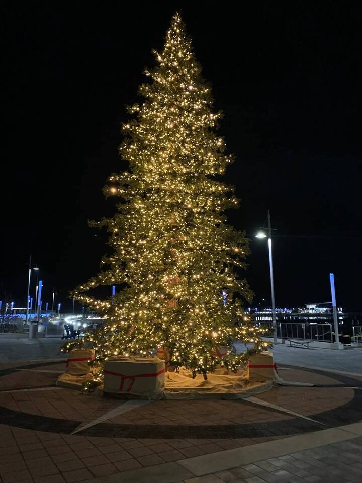 Sauna*King Bed*Fireplace*SmartTV