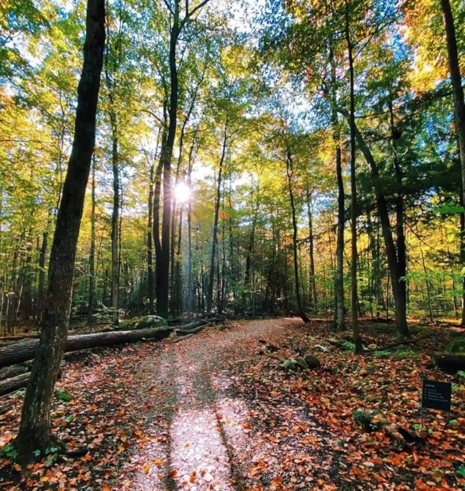 Sauna*King Bed*Fireplace*SmartTV