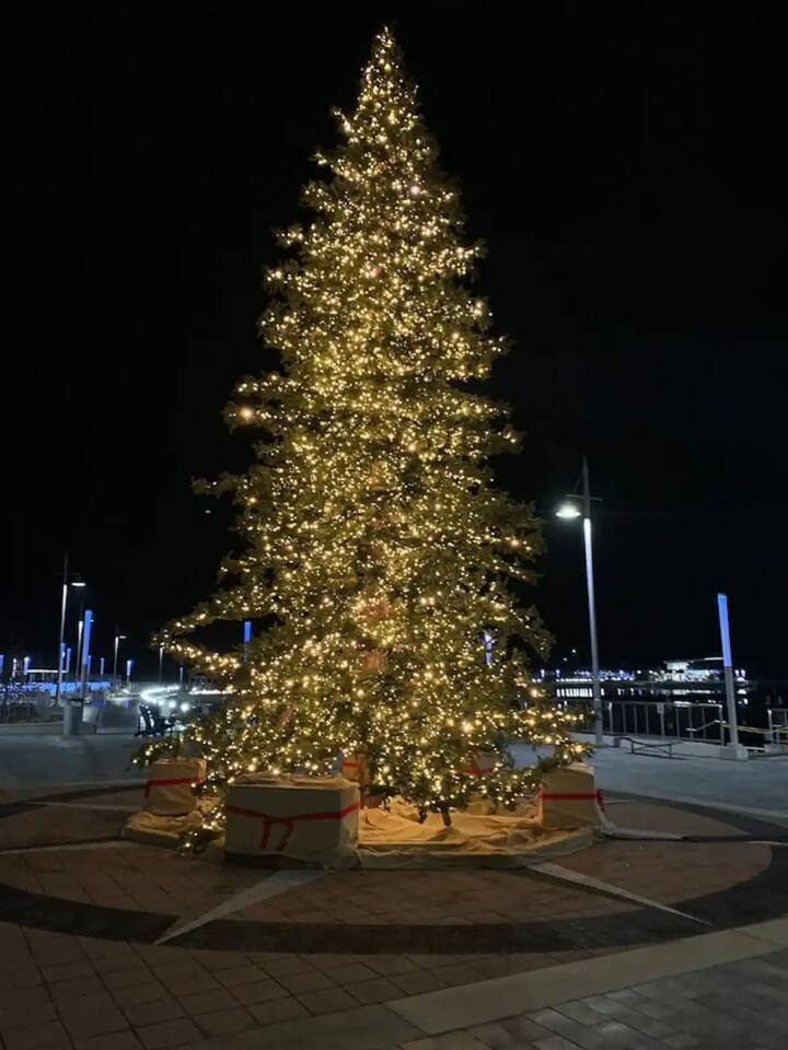 Luxe Retreat at Friday Harbour