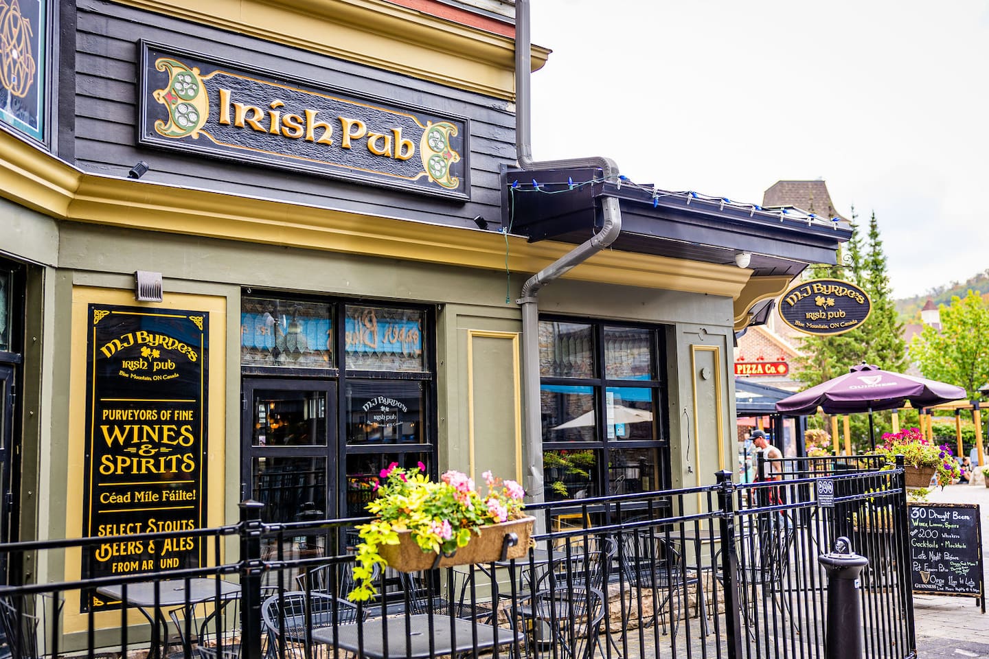 Sauna, Hot Tub & Heated Pool Blue Mountain Getaway