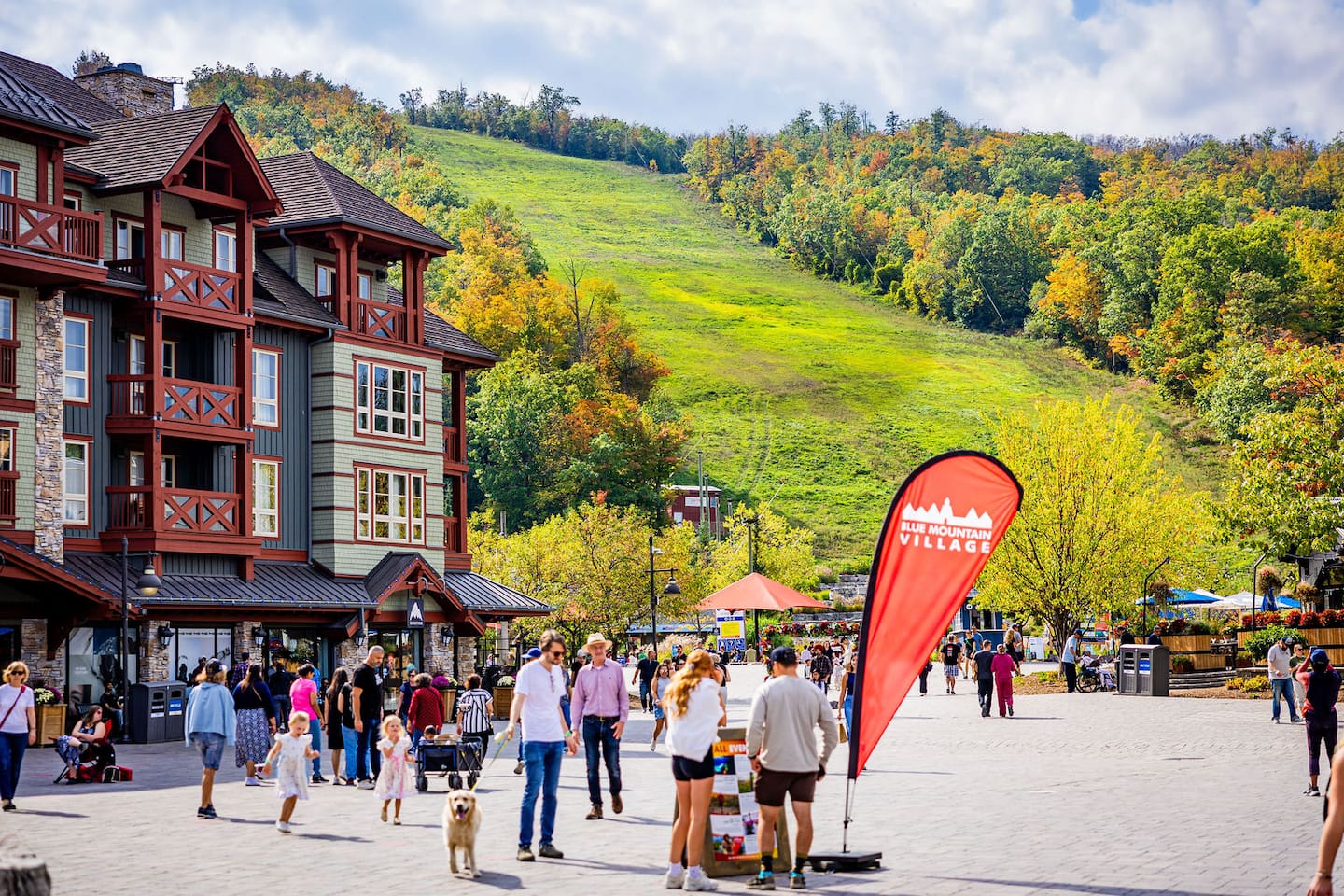 Sauna, Hot Tub & Heated Pool Blue Mountain Getaway